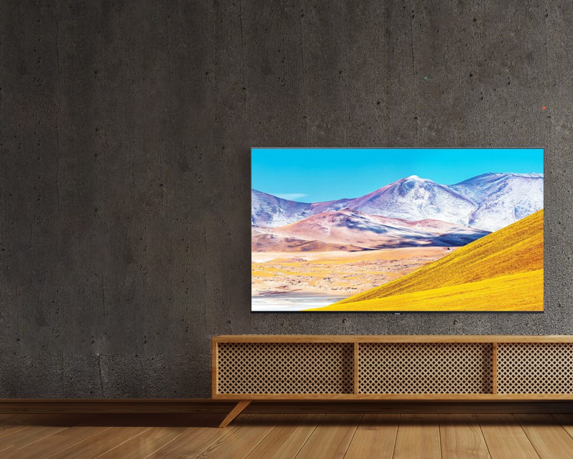 বন্দী জীবনে সঙ্গী টেলিভিশন